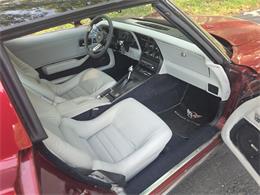 1979 Chevrolet Corvette (CC-2115872) for sale in Canton, Ohio