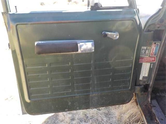 1973 International Harvester (CC-2110591) for sale in Cadillac, Michigan