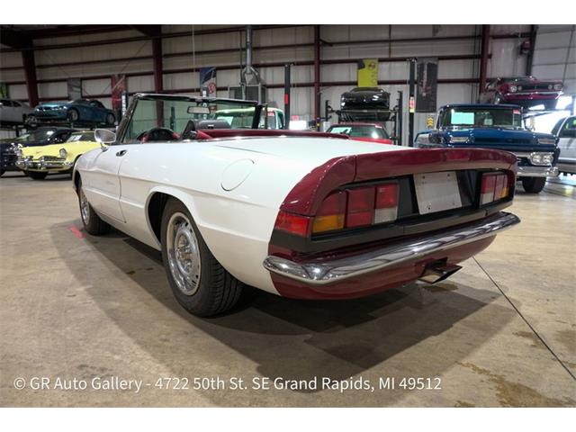 1986 Alfa Romeo Spider (CC-2115913) for sale in Kentwood, Michigan