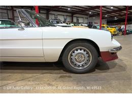 1986 Alfa Romeo Spider (CC-2115913) for sale in Kentwood, Michigan