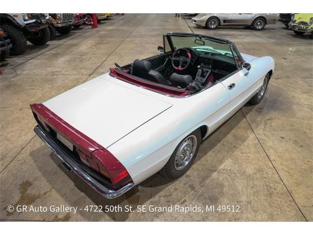 1986 Alfa Romeo Spider (CC-2115913) for sale in Kentwood, Michigan