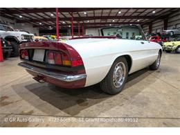 1986 Alfa Romeo Spider (CC-2115913) for sale in Kentwood, Michigan