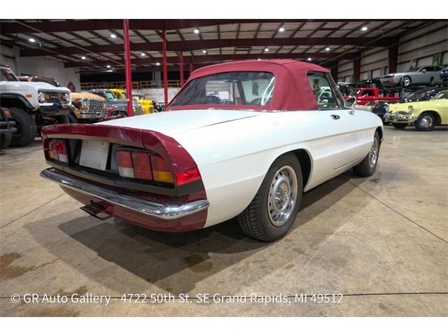 1986 Alfa Romeo Spider (CC-2115913) for sale in Kentwood, Michigan