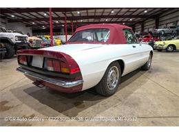 1986 Alfa Romeo Spider (CC-2115913) for sale in Kentwood, Michigan