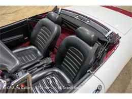 1986 Alfa Romeo Spider (CC-2115913) for sale in Kentwood, Michigan
