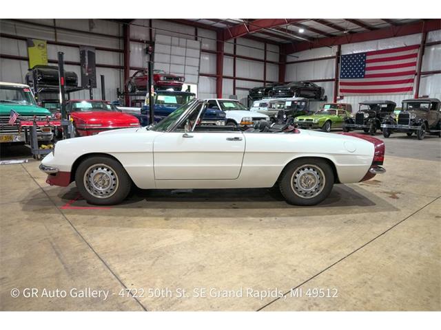 1986 Alfa Romeo Spider (CC-2115913) for sale in Kentwood, Michigan