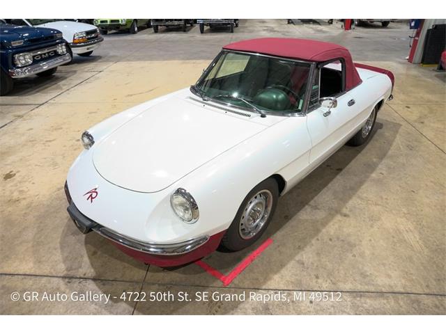 1986 Alfa Romeo Spider (CC-2115913) for sale in Kentwood, Michigan
