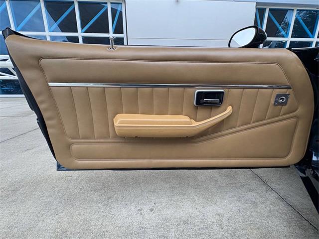 1981 Chevrolet Camaro (CC-2115969) for sale in Bradenton, Florida