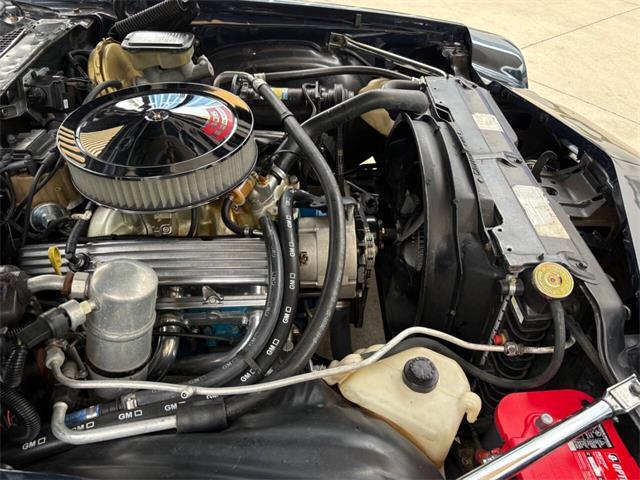 1981 Chevrolet Camaro (CC-2115969) for sale in Bradenton, Florida