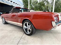 1966 Ford Mustang (CC-2115971) for sale in Bradenton, Florida