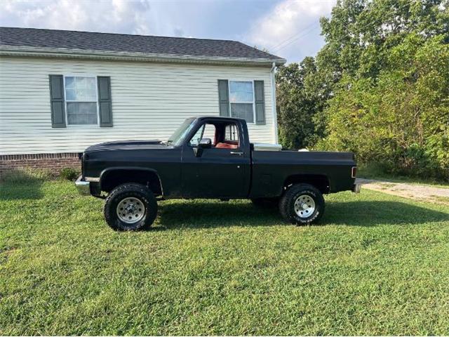 1986 Chevrolet K-10 (CC-2115981) for sale in Cadillac, Michigan