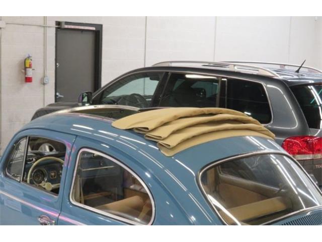 1968 Volkswagen Beetle (CC-2115985) for sale in Cadillac, Michigan