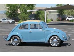 1968 Volkswagen Beetle (CC-2115985) for sale in Cadillac, Michigan