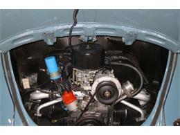 1968 Volkswagen Beetle (CC-2115985) for sale in Cadillac, Michigan