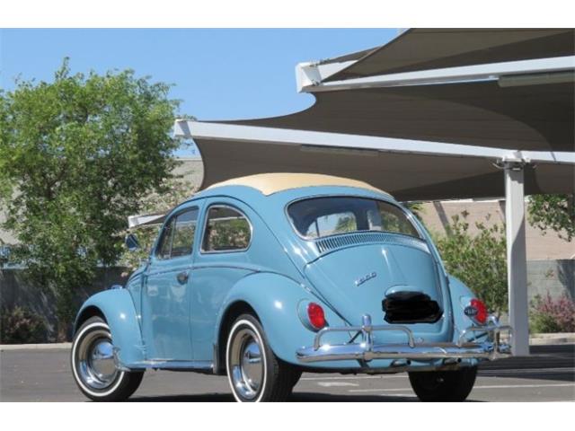 1968 Volkswagen Beetle (CC-2115985) for sale in Cadillac, Michigan