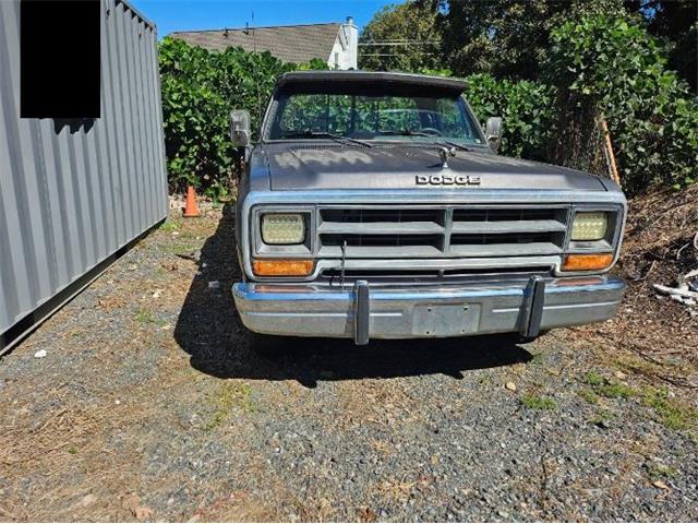1989 Dodge D250 (CC-2115993) for sale in Cadillac, Michigan