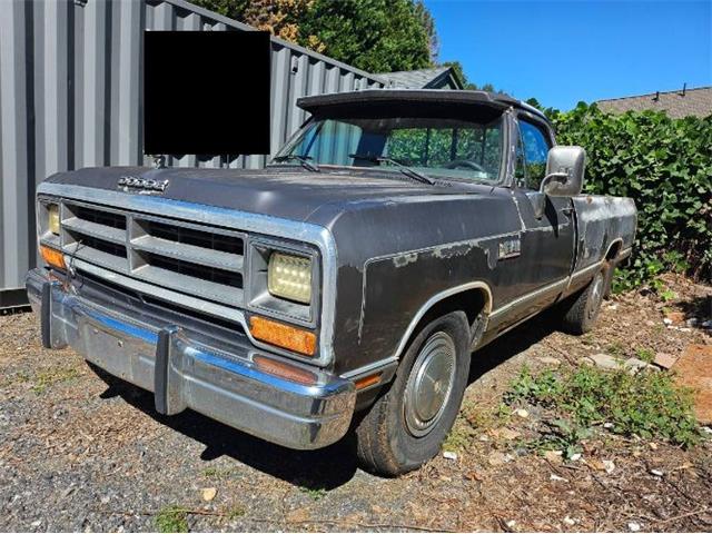 1989 Dodge D250 (CC-2115993) for sale in Cadillac, Michigan