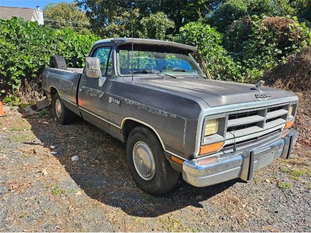 1989 Dodge D250 (CC-2115993) for sale in Cadillac, Michigan