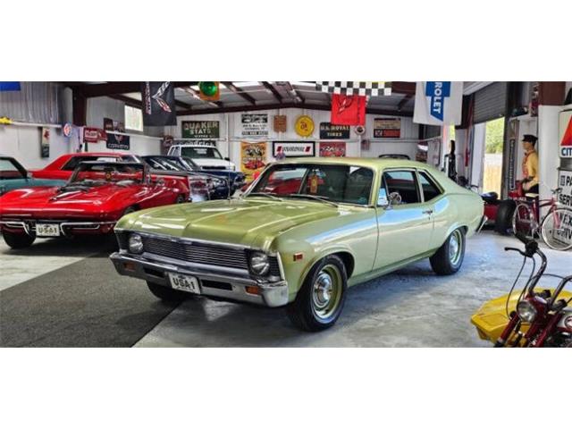 1969 Chevrolet Nova (CC-2116004) for sale in Cadillac, Michigan