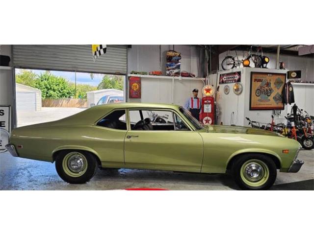 1969 Chevrolet Nova (CC-2116004) for sale in Cadillac, Michigan