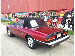 1986 Alfa Romeo Spider (CC-2116046) for sale in Greensboro, North Carolina