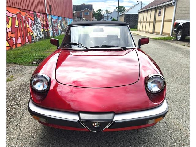 1986 Alfa Romeo Spider (CC-2116046) for sale in Greensboro, North Carolina