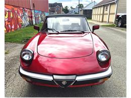 1986 Alfa Romeo Spider (CC-2116046) for sale in Greensboro, North Carolina