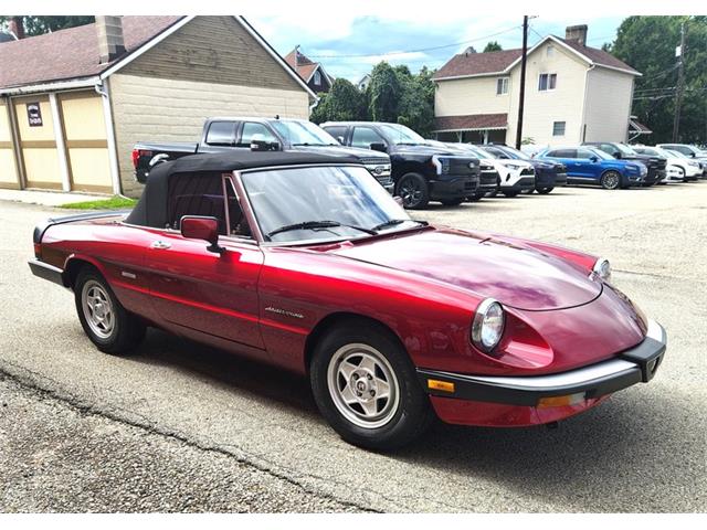 1986 Alfa Romeo Spider (CC-2116046) for sale in Greensboro, North Carolina