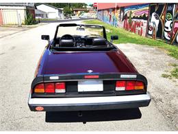 1986 Alfa Romeo Spider (CC-2116046) for sale in Greensboro, North Carolina