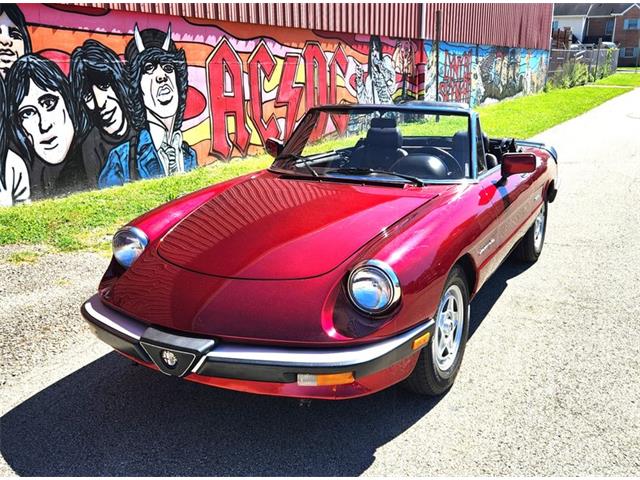 1986 Alfa Romeo Spider (CC-2116046) for sale in Greensboro, North Carolina