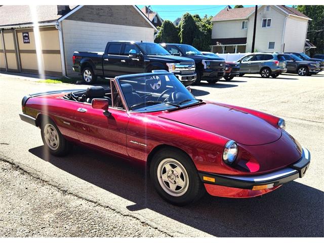 1986 Alfa Romeo Spider (CC-2116046) for sale in Greensboro, North Carolina