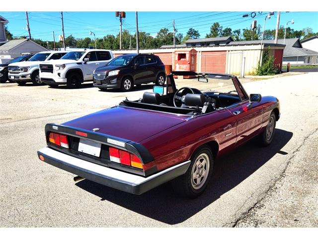 1986 Alfa Romeo Spider (CC-2116046) for sale in Greensboro, North Carolina