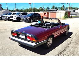 1986 Alfa Romeo Spider (CC-2116046) for sale in Greensboro, North Carolina