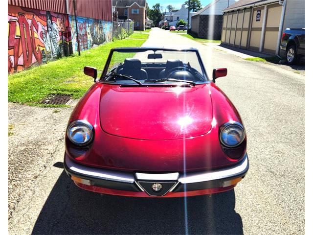 1986 Alfa Romeo Spider (CC-2116046) for sale in Greensboro, North Carolina