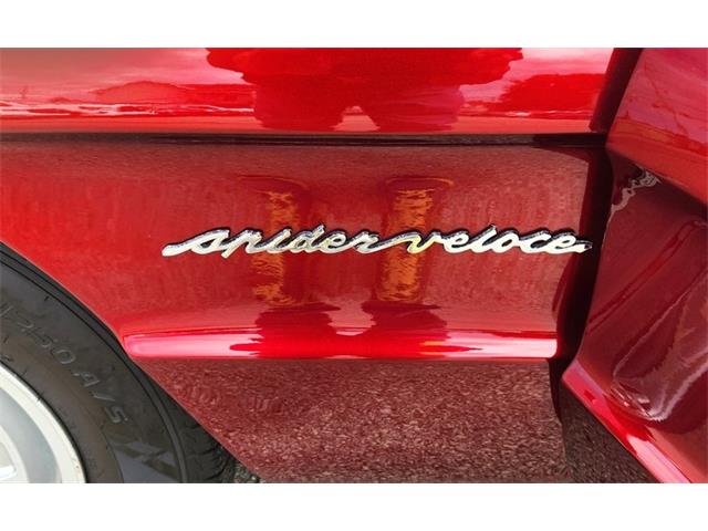 1986 Alfa Romeo Spider (CC-2116046) for sale in Greensboro, North Carolina