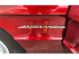 1986 Alfa Romeo Spider (CC-2116046) for sale in Greensboro, North Carolina