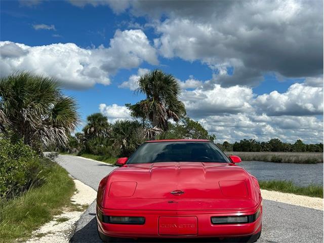 1991 Chevrolet Corvette (CC-2116047) for sale in Greensboro, North Carolina