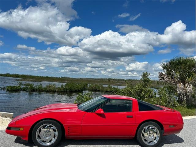 1991 Chevrolet Corvette (CC-2116047) for sale in Greensboro, North Carolina