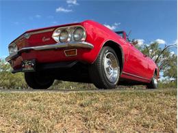 1966 Chevrolet Corvair (CC-2116059) for sale in Fredericksburg, Texas