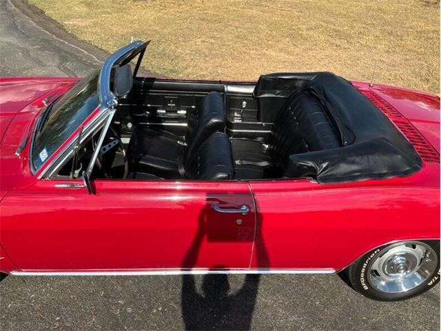 1966 Chevrolet Corvair (CC-2116059) for sale in Fredericksburg, Texas