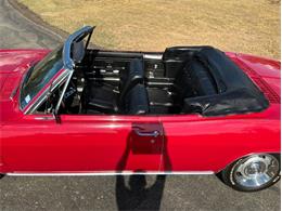 1966 Chevrolet Corvair (CC-2116059) for sale in Fredericksburg, Texas