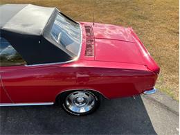 1966 Chevrolet Corvair (CC-2116059) for sale in Fredericksburg, Texas