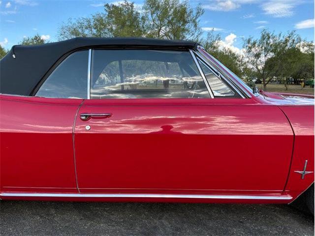 1966 Chevrolet Corvair (CC-2116059) for sale in Fredericksburg, Texas