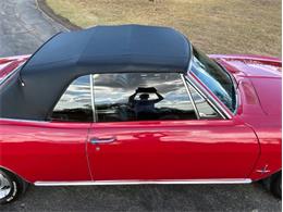 1966 Chevrolet Corvair (CC-2116059) for sale in Fredericksburg, Texas