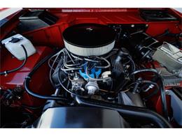 1977 Ford Bronco (CC-2116067) for sale in Carrollton, Texas