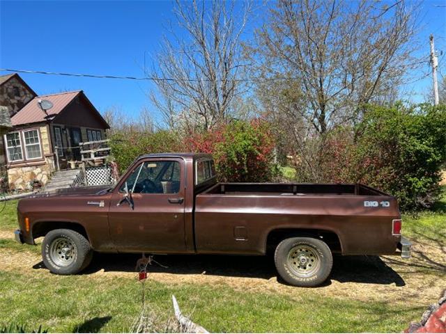 1979 Chevrolet Scottsdale (CC-2110607) for sale in Cadillac, Michigan