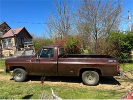 1979 Chevrolet Scottsdale (CC-2110607) for sale in Cadillac, Michigan