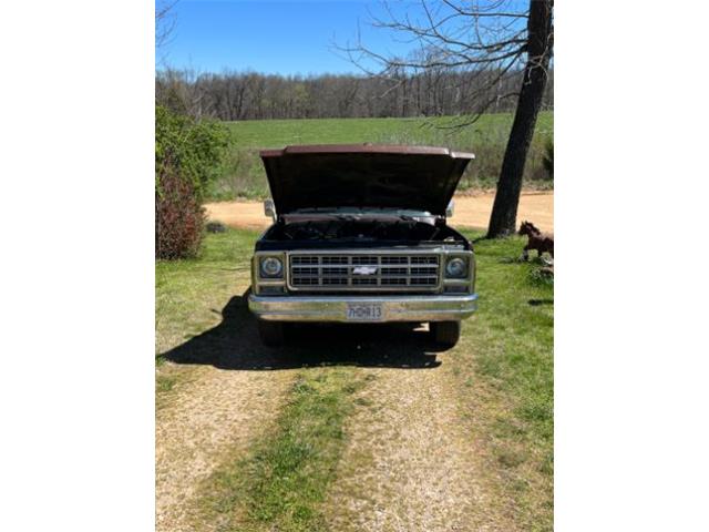 1979 Chevrolet Scottsdale (CC-2110607) for sale in Cadillac, Michigan