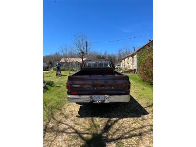 1979 Chevrolet Scottsdale (CC-2110607) for sale in Cadillac, Michigan