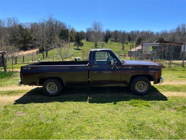 1979 Chevrolet Scottsdale (CC-2110607) for sale in Cadillac, Michigan
